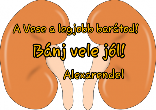 Alexarendel/ A Vese a legjobb barátod!