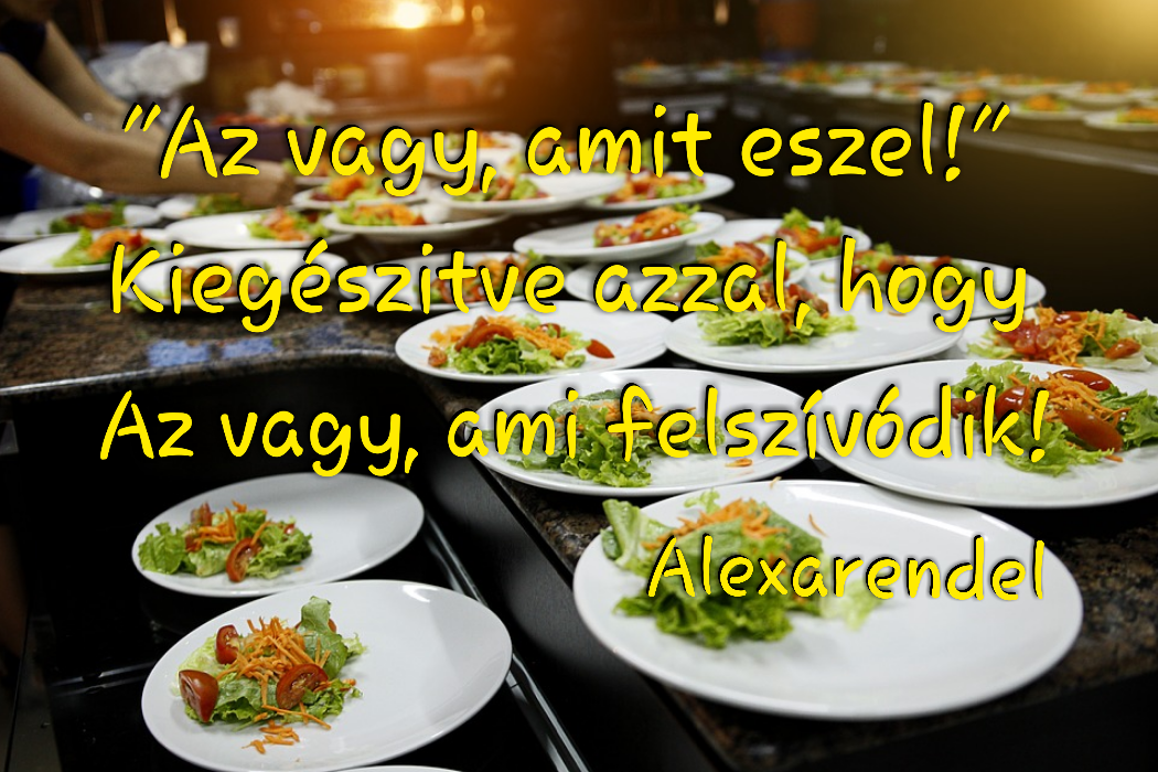 Alexarendel/ Az vagy, ami felszívódik!