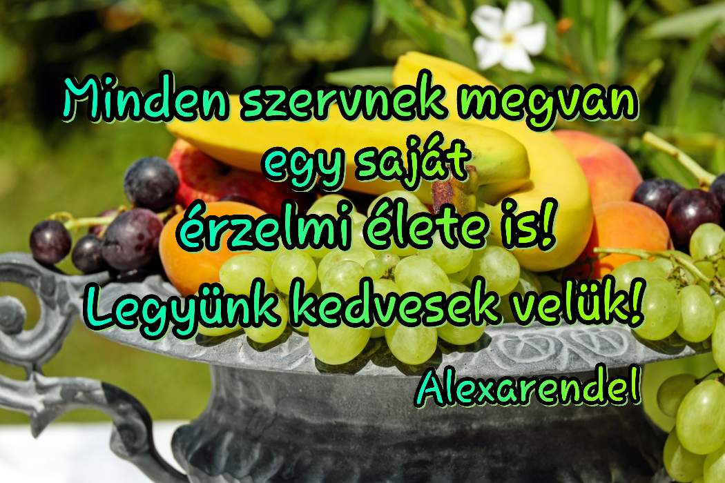 Alexarendel/ A szervek érzelmi világa