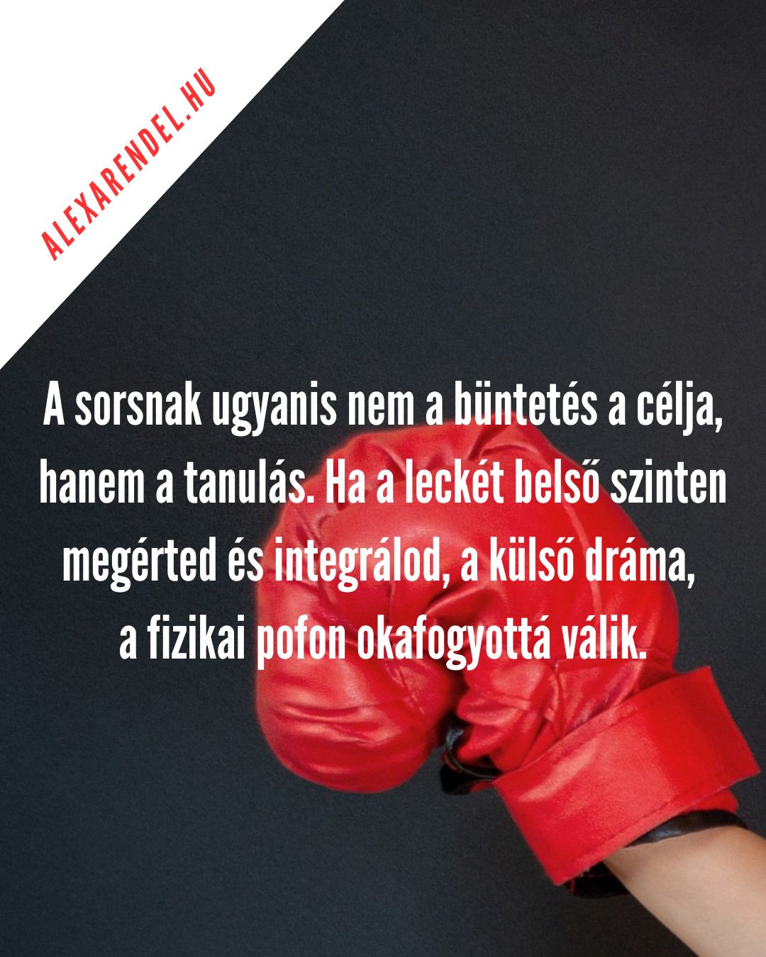 A sors elkerülhető_alexarendel.hu