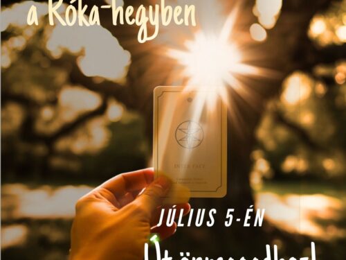 Erdőfürdő a Róka-hegyben_alexarendel.hu