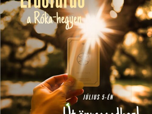 Erdőfürdő a Rókahegyen_alexarendel.hu