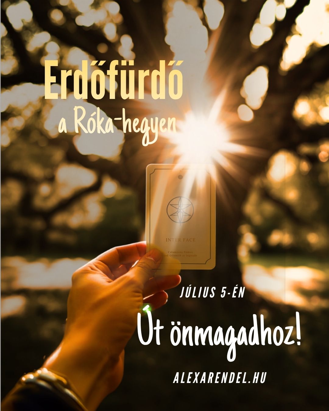 Erdőfürdő a Rókahegyen_alexarendel.hu