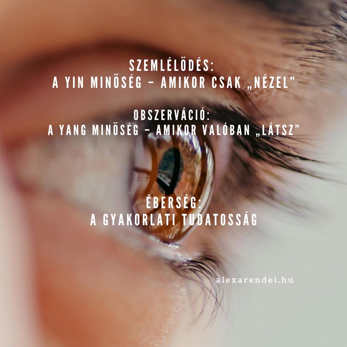 Szemlélődés, obszerváció, éberség 1_alexarendel