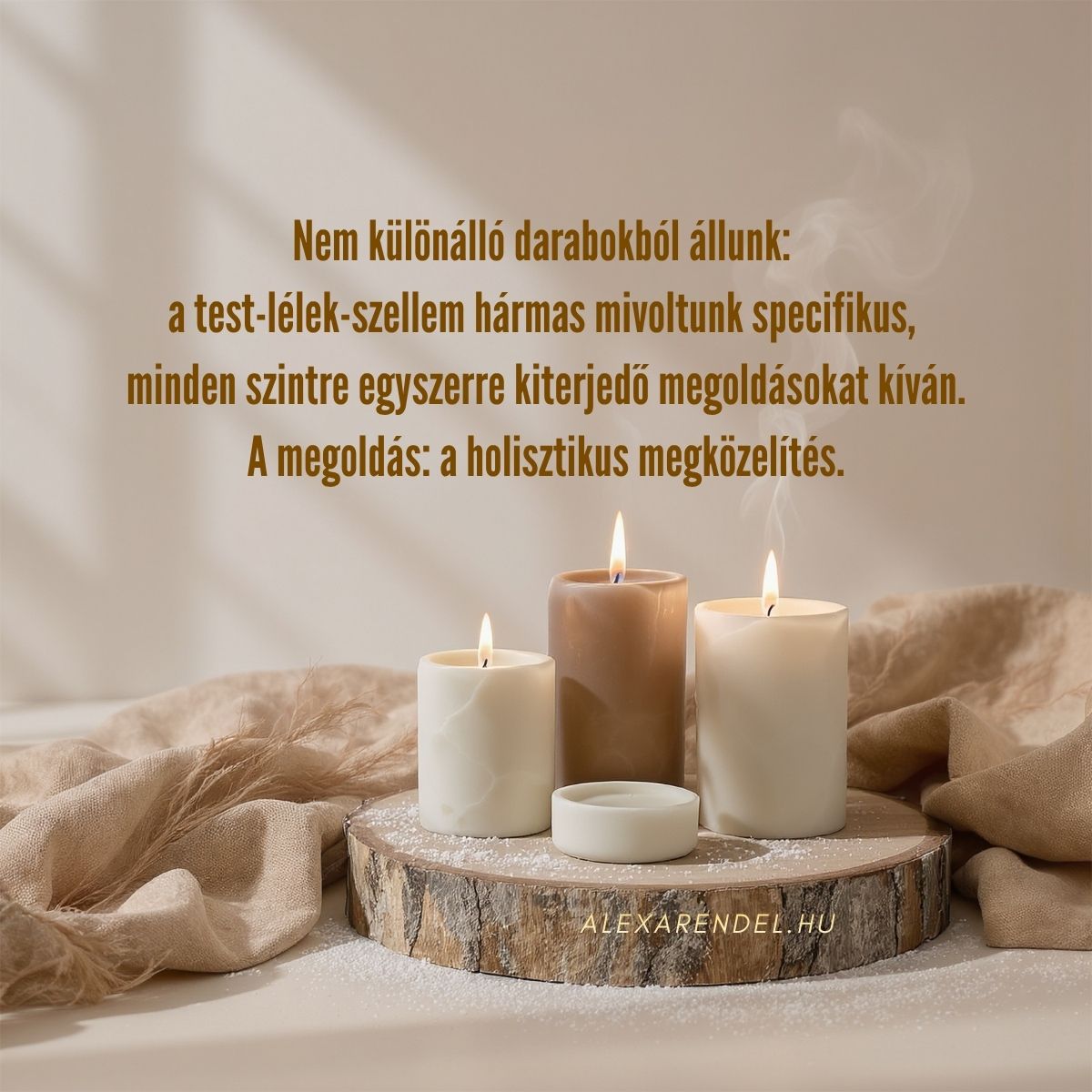 A holisztikus megközelítés a megoldás_alexarendel.hu